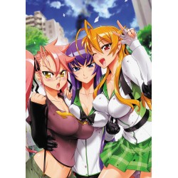 Plagát • Highschool of the...