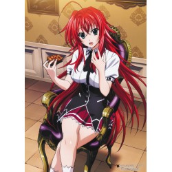 Plagát • High School DxD