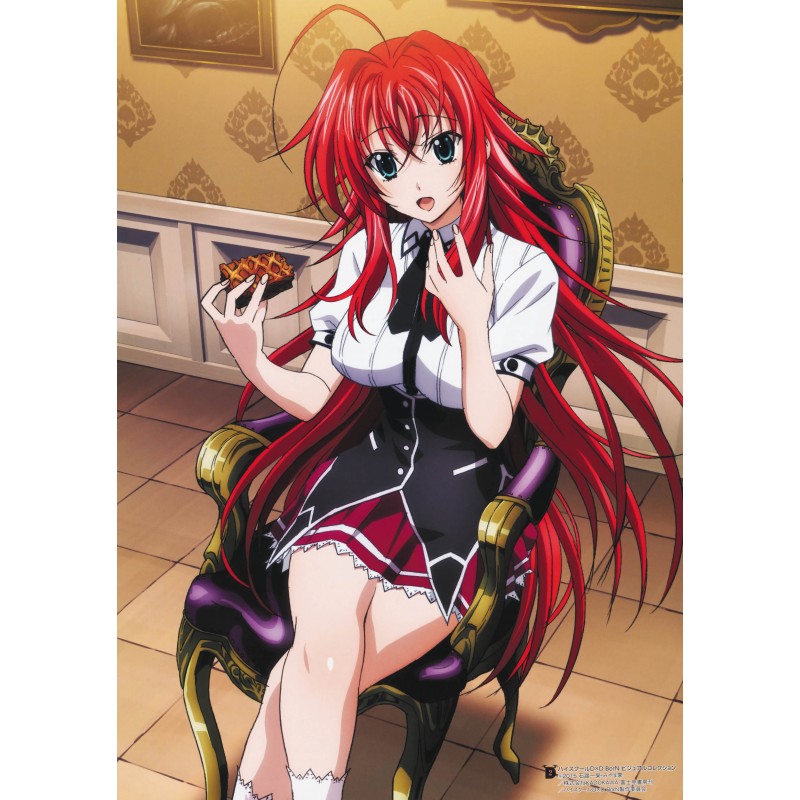 Plagát • High School DxD