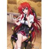 Plagát • High School DxD