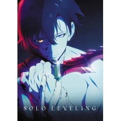 Poster • Solo Leveling