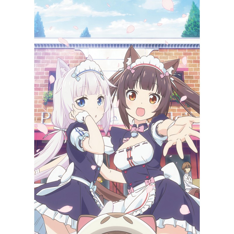 Плакат • Nekopara