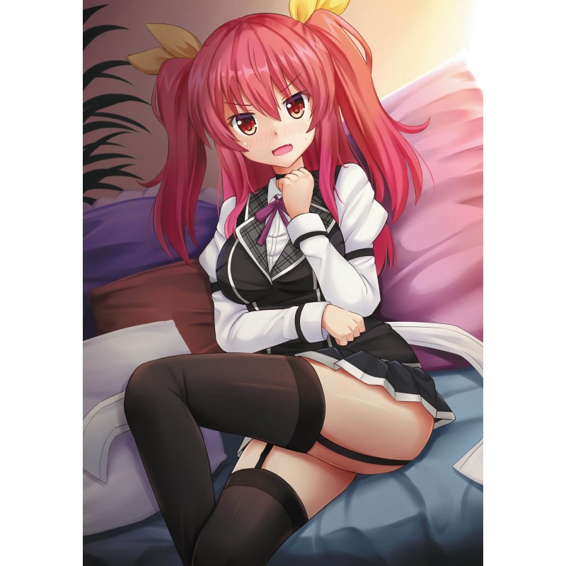 Плакат • Rakudai Kishi no Cavalry