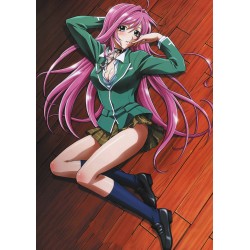 Плакат • Rosario Vampire