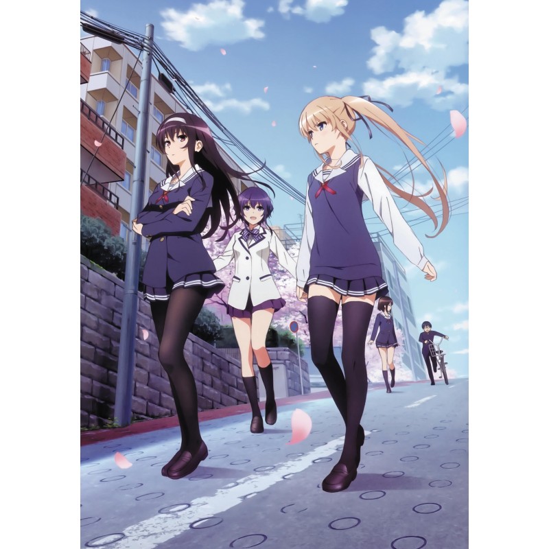 Plakāts • Saenai Heroine no Sodatekata