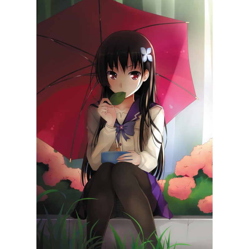 Plagát • Sankarea