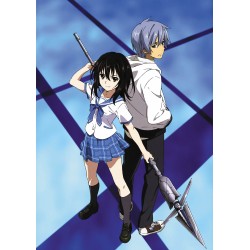 Плакат • Strike the Blood