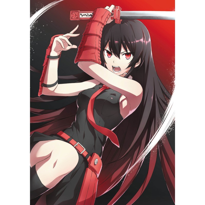 Плакат • Akame ga Kill