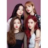 Poster • Black Pink