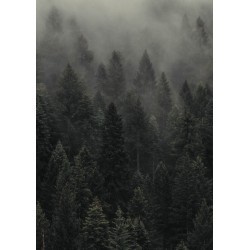 Plagát • Les v hmle