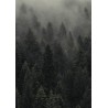 Poster • Forest in fog