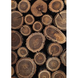 Plakát • Dřevo