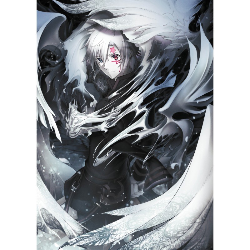 Poster • D.Gray-man