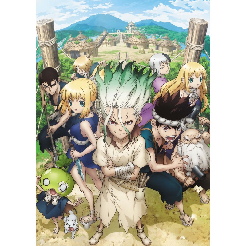 Plakat • Dr Stone