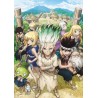 Plagát • Dr Stone